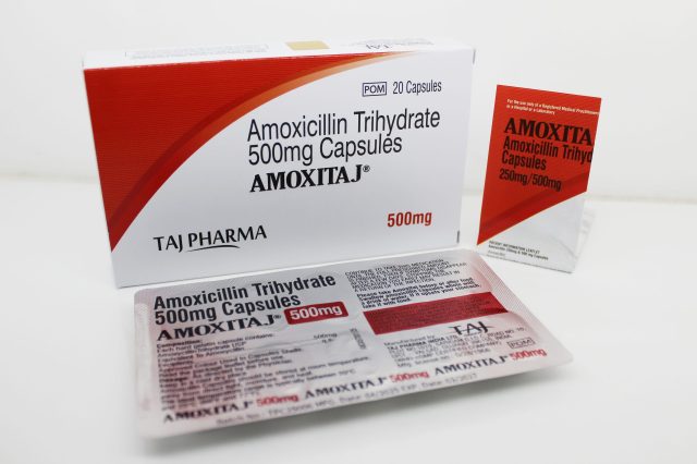 amoxicillin 500mg (no rx needed) amoxicillin 500mg (no rx needed)